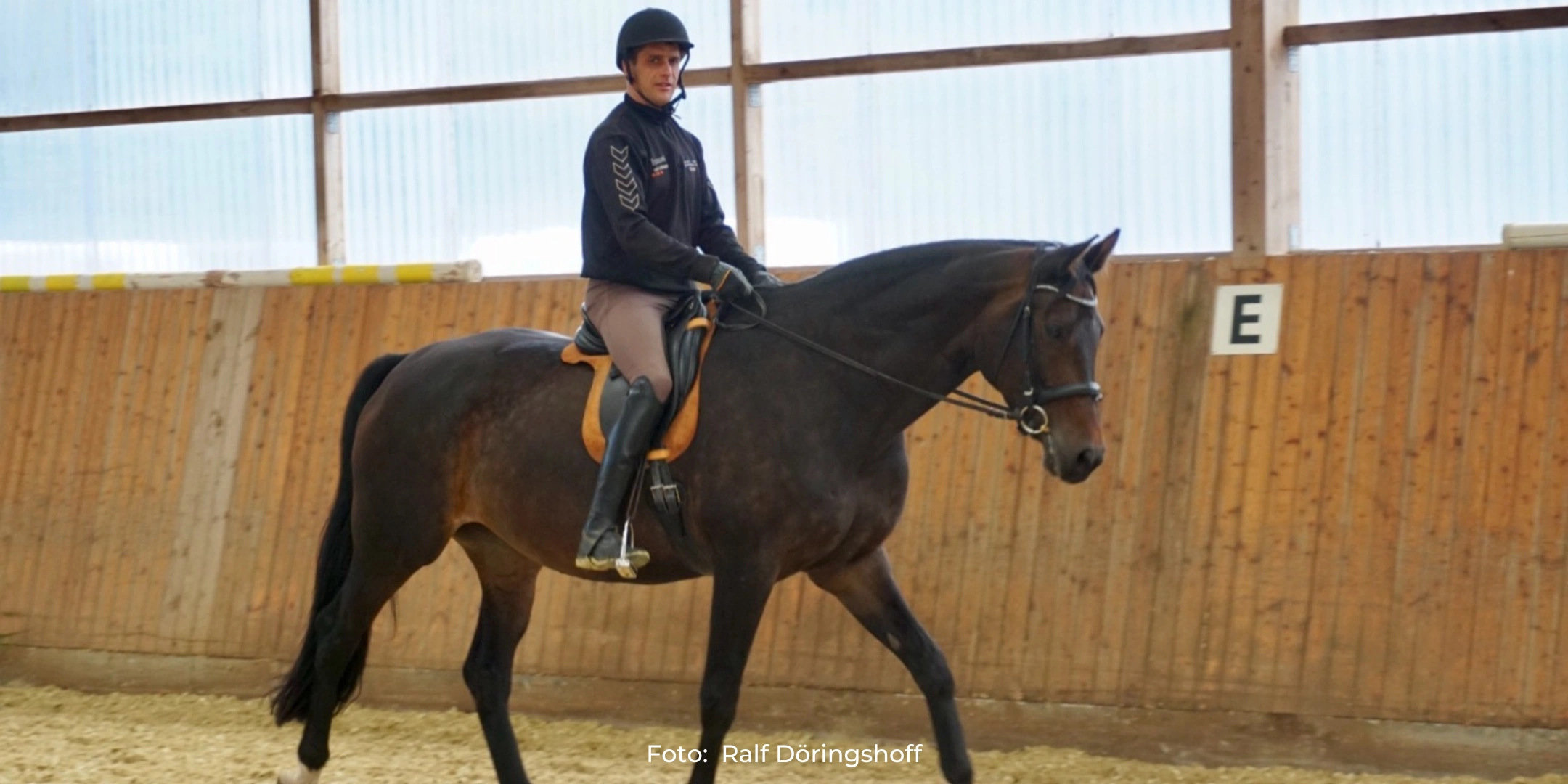 Dehnungshaltung Pferd