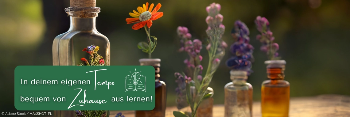 in deinem eigenen Tempo bequem von zuhause aus lernen