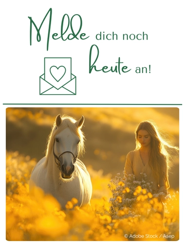 Melde dich noch heute an