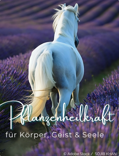 Aromatherapie - Pflanzenheilkraft für Körpe, Geist und Seele