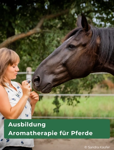 Ausbildung Aromatherapie für Pferde