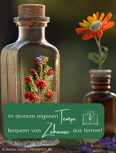 in deinem eigenen Tempo bequem von zuhause aus lernen