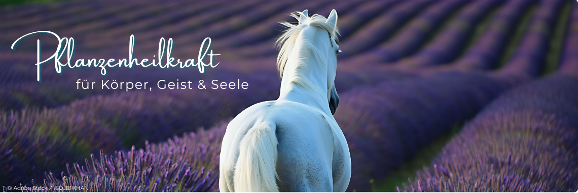 Aromatherapie - Pflanzenheilkraft für Körpe, Geist und Seele