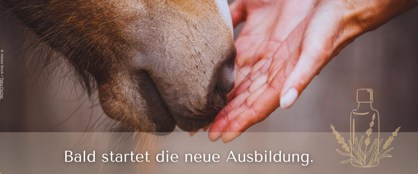 Aromatherapie für Pferde startet bald