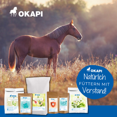 Okapi. Natürlich füttern mit Verstand!