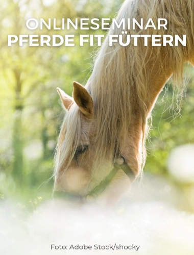 Onlineseminare Pferde fit füttern
