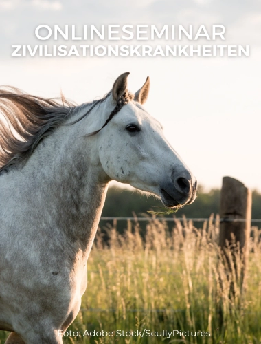 Onlineseminar Zivilisationskrankheiten
