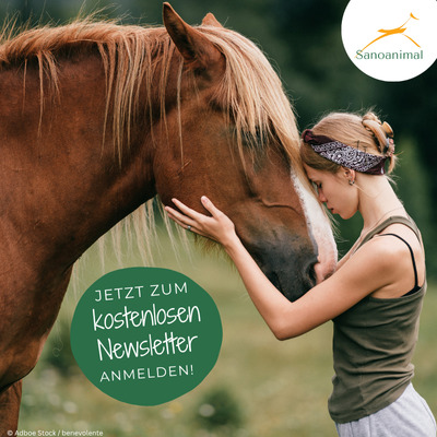 Jetzt zum kostenlosen Newsletter. Anmelden!