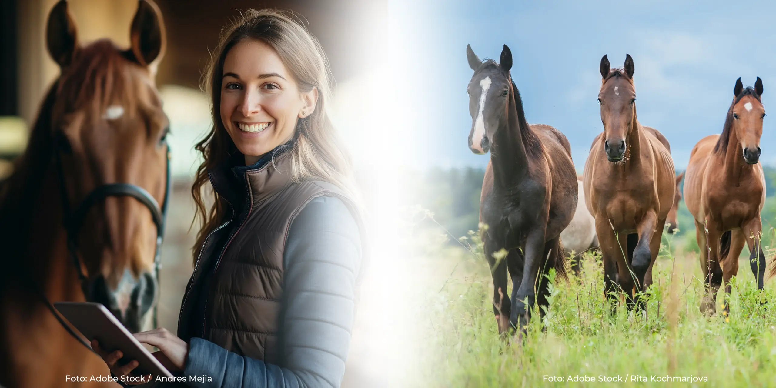 Kombi ABOFallbesprechung & Forum