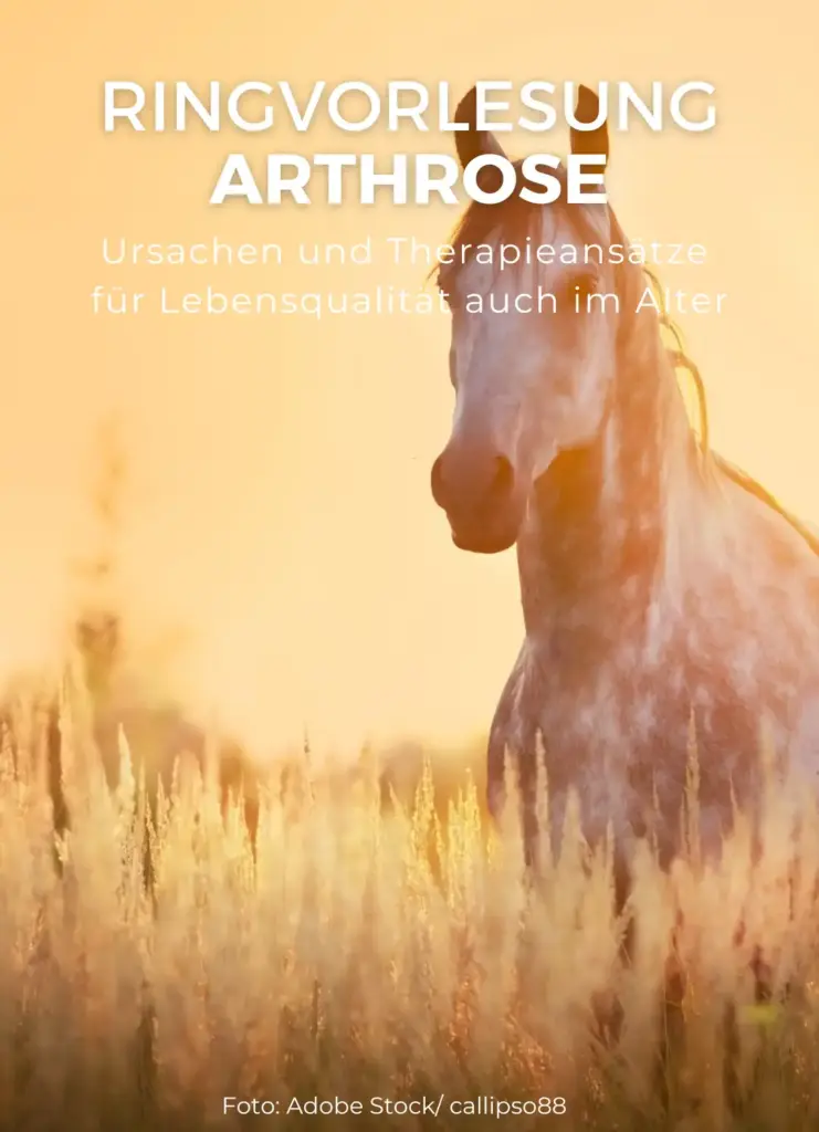 Ringvorlesung Arthrose