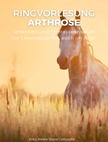 Ringvorlesung Arthrose