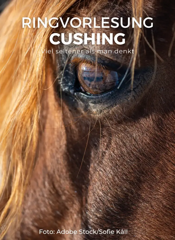 Onlineseminar Cushing