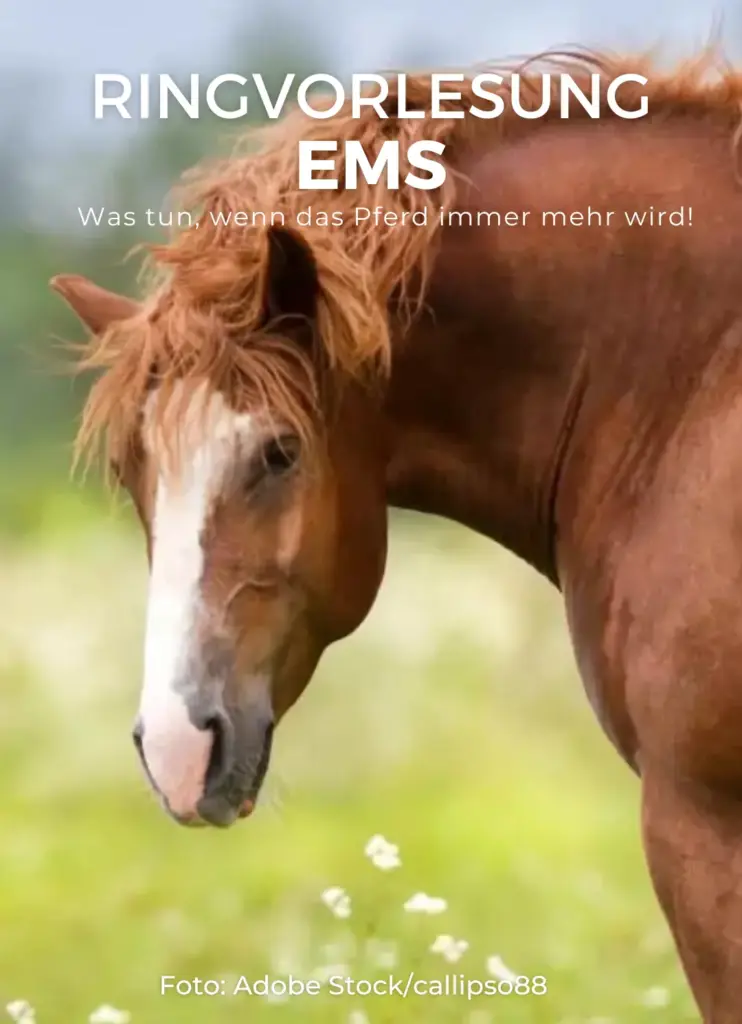 Onlineseminar EMS