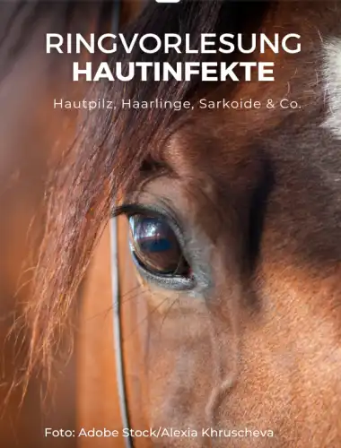 Ringvorlesung Hautinfekte