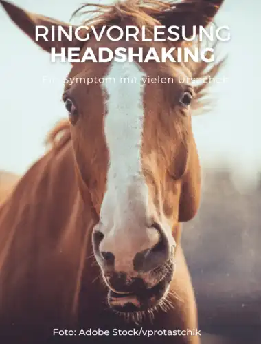 Ringvorlesung Headshaking