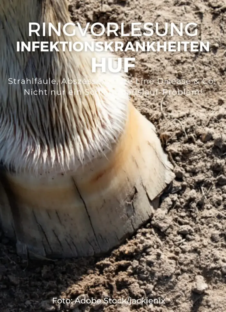 Onlineseminar Hufinfektionskrankheiten