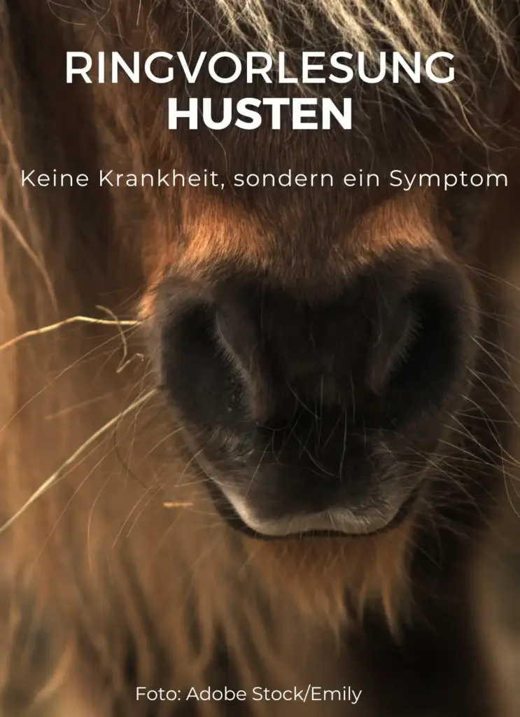 Ringvorlesung Husten