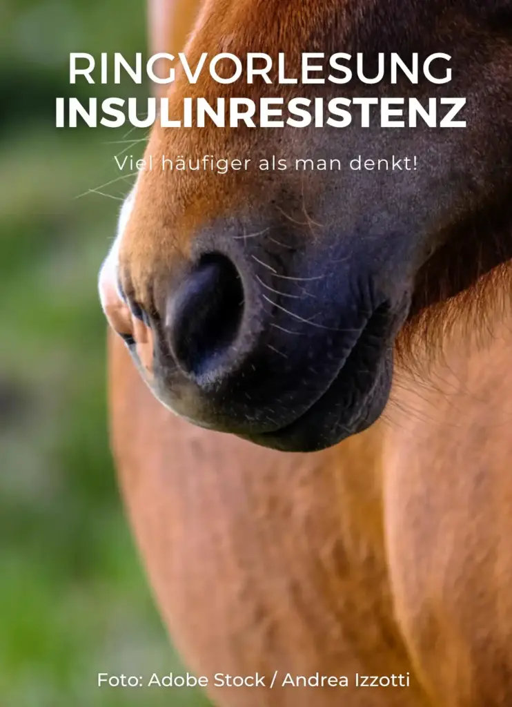 Ringvorlesung Insulinresistenz