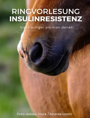 Ringvorlesung Insulinresistenz