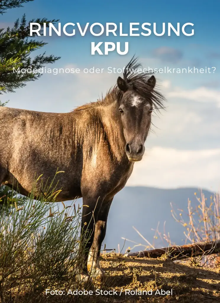 Ringvorlesung KPU (Kryptopyrrolurie)