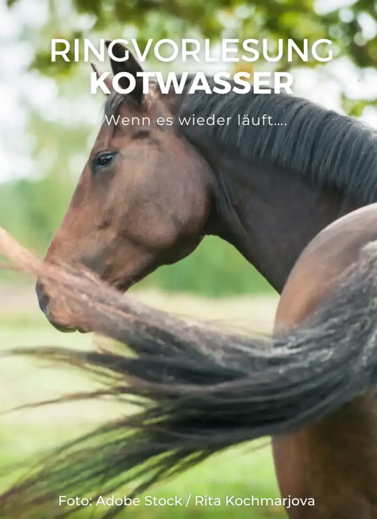 Ringvorlesung Kotwasser