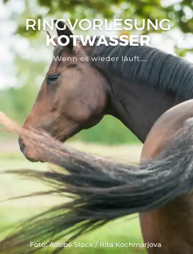 Ringvorlesung Kotwasser