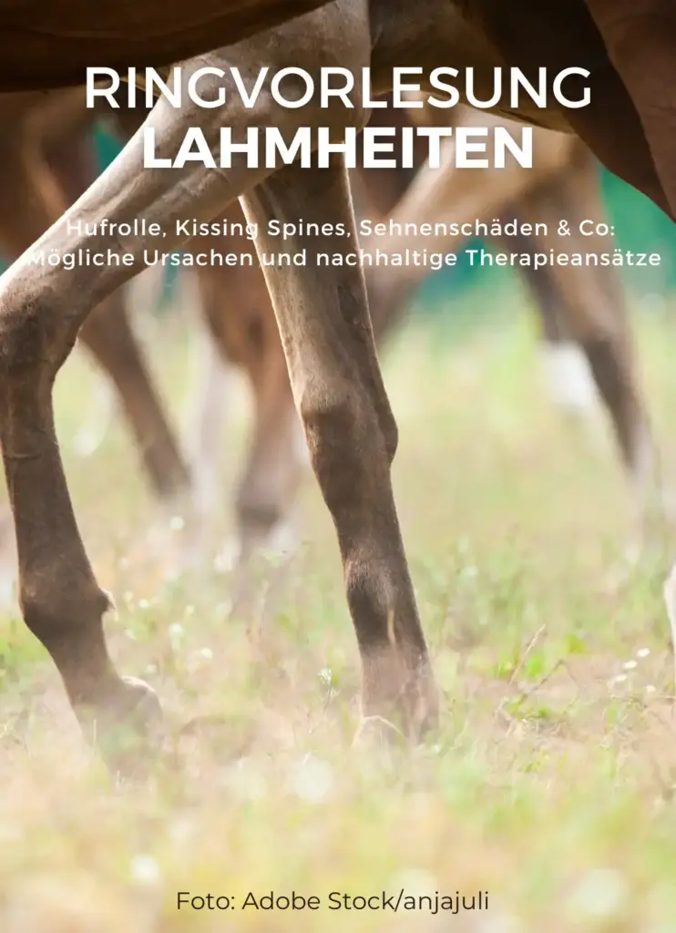 Ringvorlesung Lamheiten