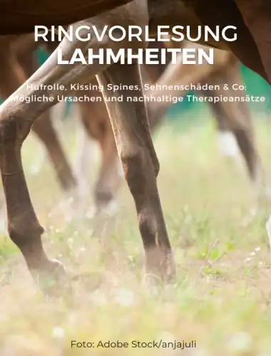 Ringvorlesung Lamheiten