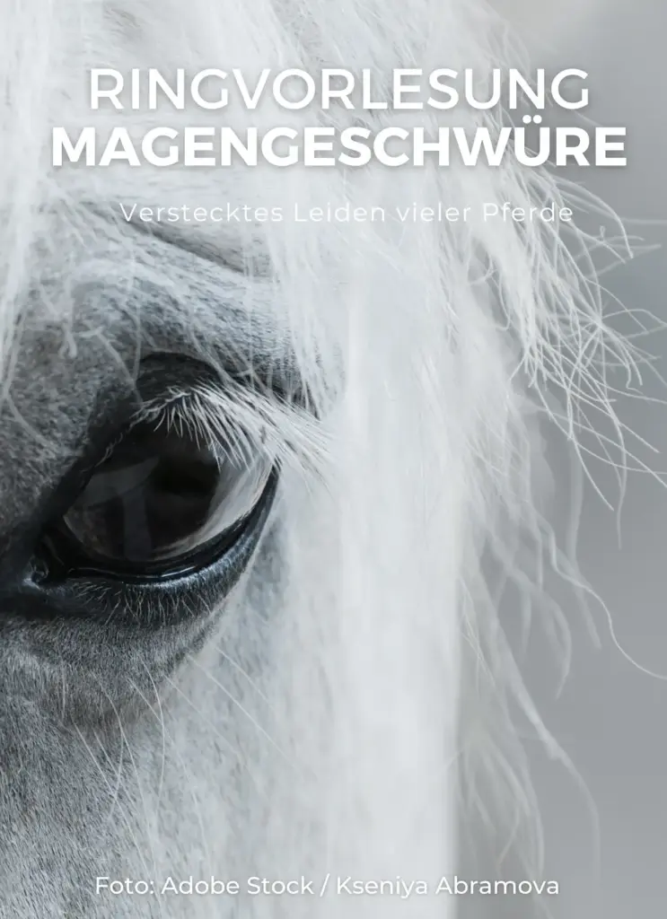 Onlineseminar Magengeschwüre