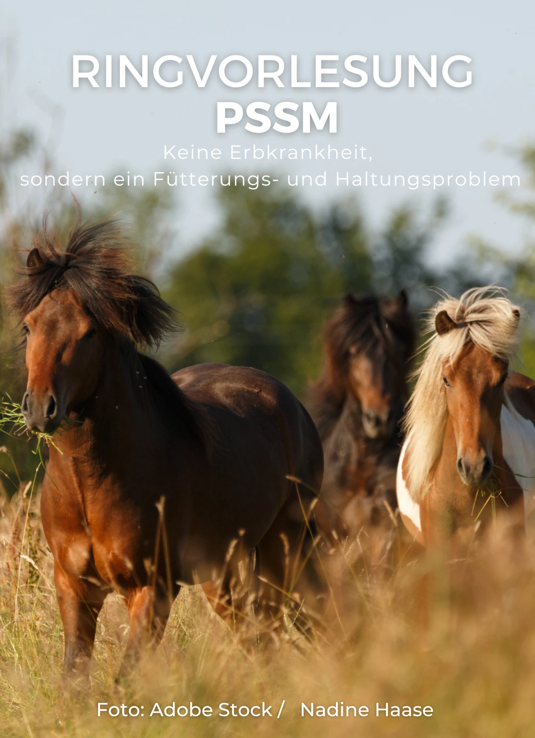 Sanoanimal Onlineseminar PSSM2 – Modediagnose oder genetische Krankheit?