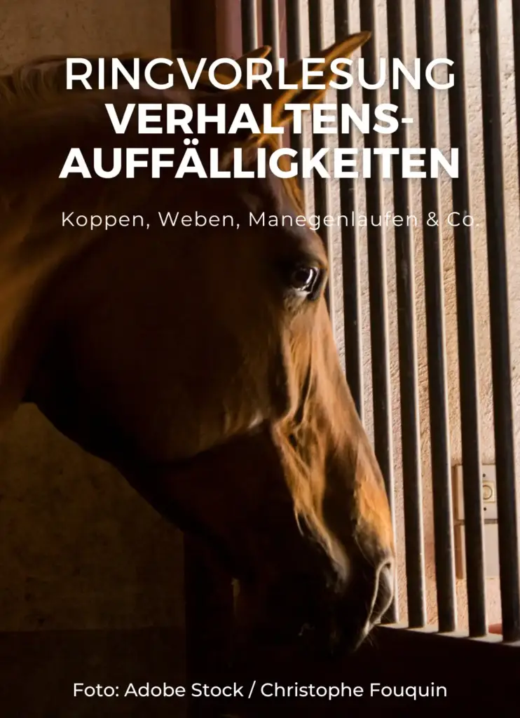 Ringvorlesung Verhaltensauffälligkeiten