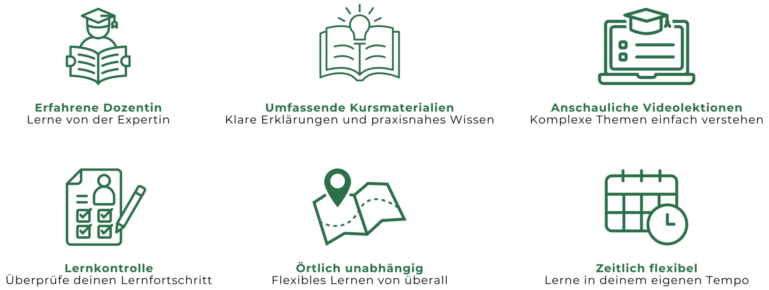 Vorteile Ringvorlesung