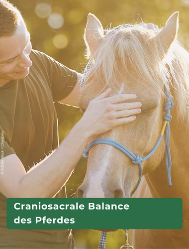 Ausbildung Craniosacrale Balance