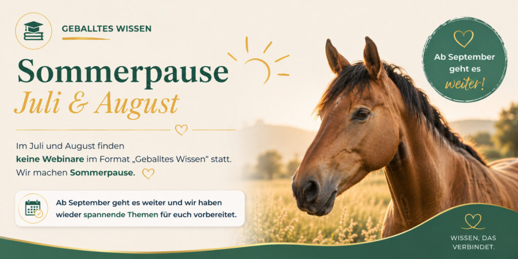Sommerpause Geballtes Wissen im Juli & August. Ab September geht es weiter