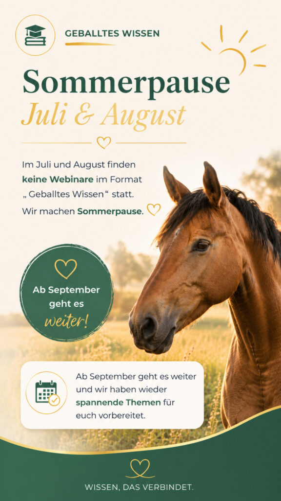 Sommerpause Geballtes Wissen im Juli & August. Ab September geht es weiter