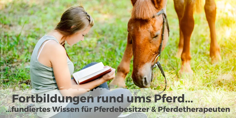 Fortbildungen rund ums Pferd ...fundiertes Wissen für Pferdebesitzer & Pferdetherapeuten